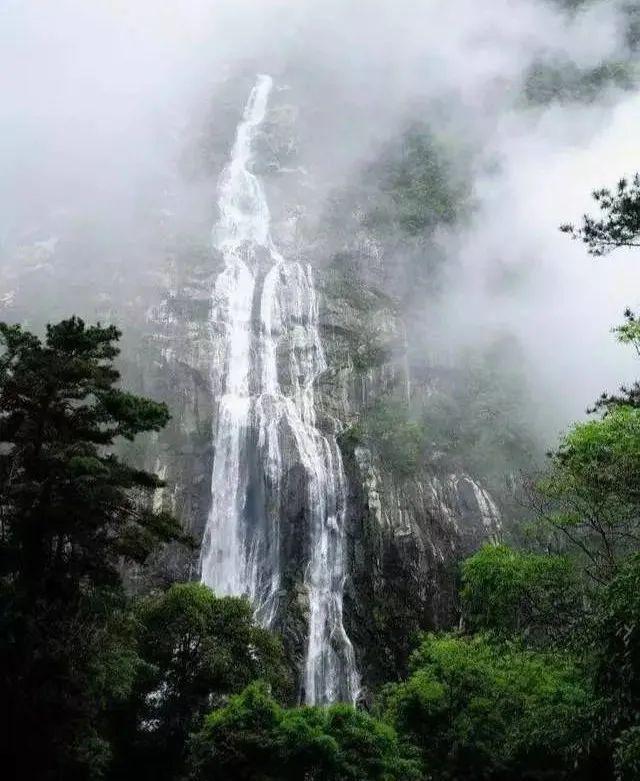 虫虫助手下载